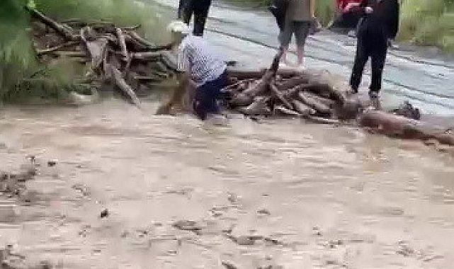 Odun uğruna canını hiçe sayarak dereye giren vatandaşın o anları kamerada