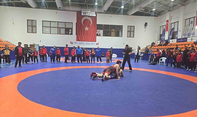 Olimpiyat şampiyonları anısına güreş turnuvası düzenlendi