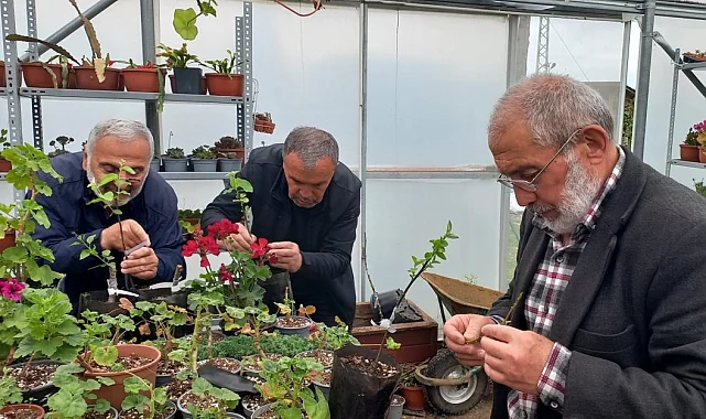 Ordu'da aşı ordusu büyüyor