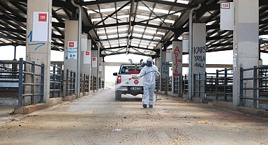 Osmangazi'de kurban pazarları ilaçlanarak dezenfekte edildi