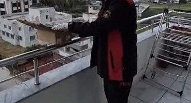 Osmaniye'de aspiratör borusuna giren 3 kırlangıç kurtarıldı