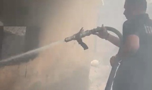 Osmaniye'de kiler yangınında kedi ve yavruları kurtarıldı