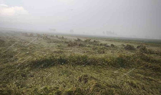 Osmaniye'de sağanak etkili oldu: Evini su basan yaşlı kadın kurtarıldı