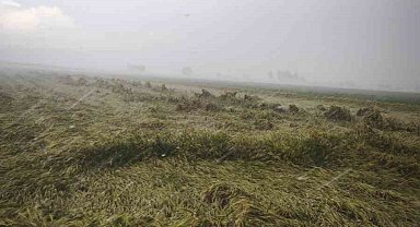 Osmaniye'de sağanak etkili oldu: Evini su basan yaşlı kadın kurtarıldı