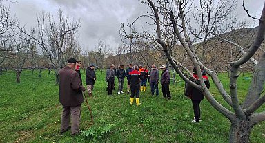 Otlukbeli'nde üreticilere meyve ağaçlarında budama eğitimi