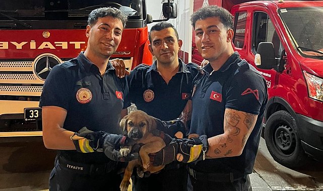 Otomobilin motoruna sıkışan yavru köpeği itfaiye kurtardı