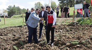 Pazarlar'da atıl durumdaki hazine arazisi tarıma kazandırıldı