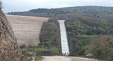 Pazaryeri tarımında altın dönem başlıyor