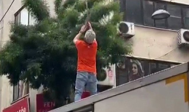 Pendik'te elektrik tellerine takılan martı kurtarıldı
