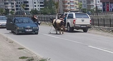 Saatlerce peşinden koştular: Kurbanlık dana ilçeyi birbirine kattı