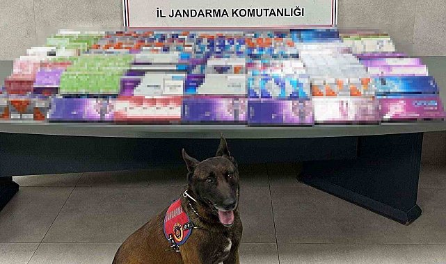 Sakarya'da kaçakçılığa jandarma izin vermiyor