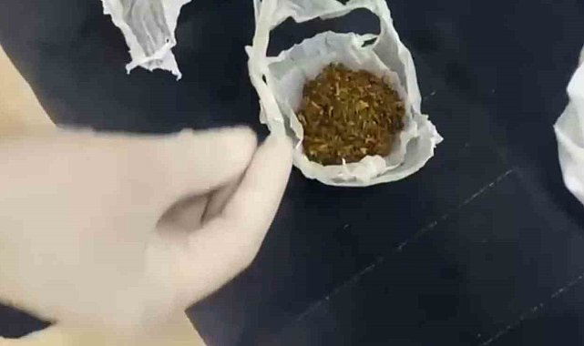 Sakarya'da zehir tacirlerine operasyon: 6 tutuklama