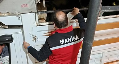 Salihli'de kurbanlık nakli yapan araçlara sıkı denetim