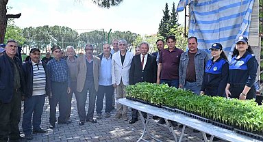 Salihlili üreticilere 34 bin sebze fidesi