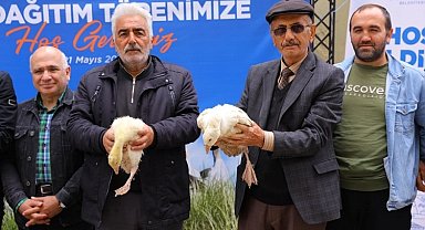 Samsun Büyükşehir'den üreticiye kaz desteği