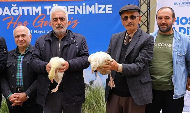 Samsun Büyükşehir'den üreticiye kaz desteği