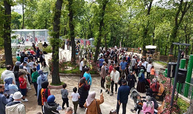 Samsun'da Karadeniz'in en büyük macera parkı açıldı