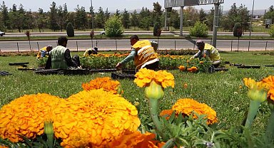 Şanlıurfa çiçeklerle donatıldı