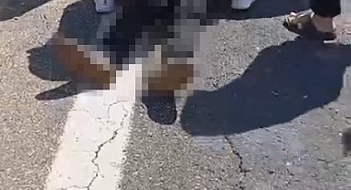 Şanlıurfa'da kurbanlık yüklü kamyonet devrildi: 1 ölü, 1 yaralı