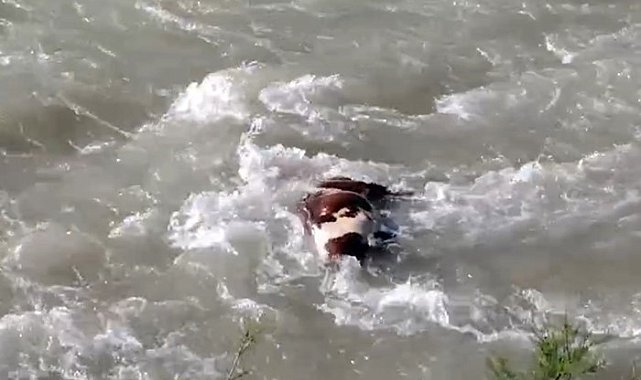 Sason Çayı'na atılan telef hayvanlar vatandaşları endişelendiriyor