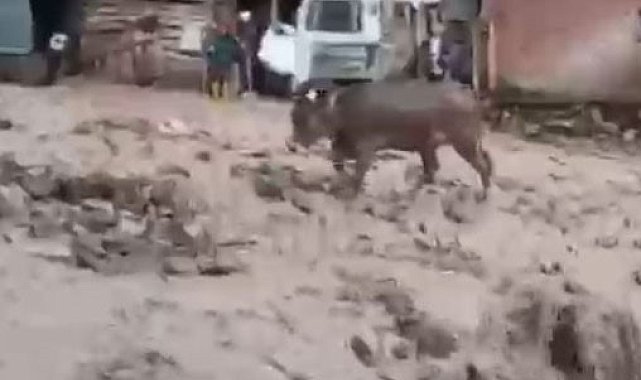 Şebinkarahisar'da şiddetli yağış