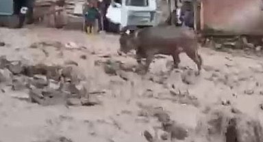 Şebinkarahisar'da şiddetli yağış