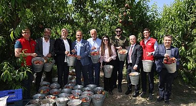 Şeftali ve nektarinde 250 milyon dolar ihracat hedefi