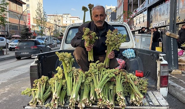 Sınırdan getirilen uçkunlar Yüksekova'da satışa sunuldu