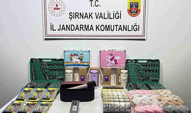 Şırnak'ta jandarmadan asayiş, kaçakçılık ve narkotik operasyonu