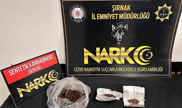 Şırnak'ta kaçakçılık ve uyuşturucu operasyonları: 5 tutuklama