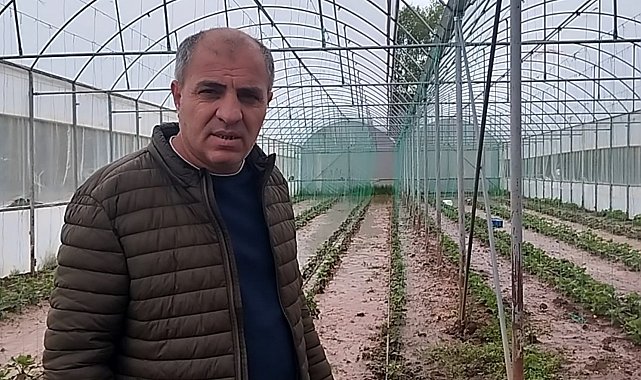 Sivas'ta dere taştı: Sera ve bahçeler sular altında kaldı