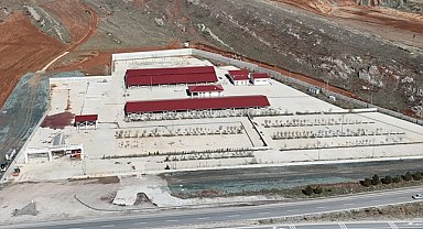 Sivas'ta kurban pazarı için başvuru takvimi belli oldu