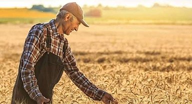 Tarım ürünlerinde fiyat artışı sürüyor... Tarım-ÜFE yıllık yüzde 42,53 yükseldi