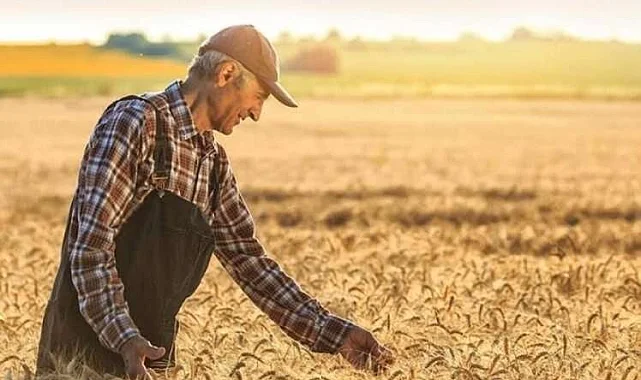 Tarım ürünlerinde fiyat artışı sürüyor... Tarım-ÜFE yıllık yüzde 42,53 yükseldi