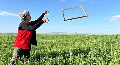 Tarım ürünlerinde rekolteyi arttırmak amacıyla zararlı takibi sürüyor