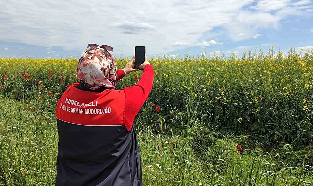 Tarlalarda dijital tarım çalışmaları