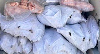 Tekirdağ'da 1,5 ton iç yağ ve 140 kokoreç imha edildi