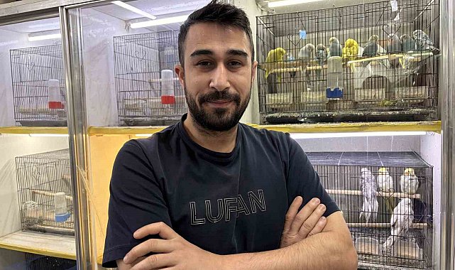 Teknoloji bağımlılığına karşı evcil hayvan önerisi
