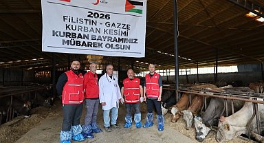 Türk Kızılayı'ndan vekaletle kurban kesimi