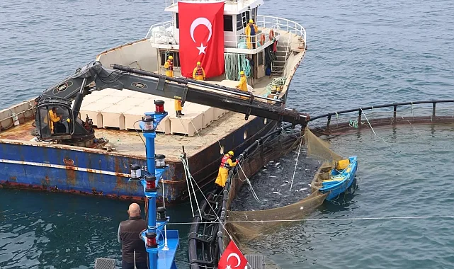 Türk somonu ihracatta rekor yolunda... Üretim 75 bin tona ulaştı