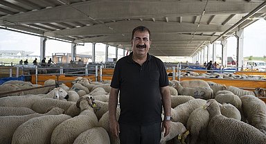 TÜRKYED Genel Başkanı Çelik: "Vatandaşlarımız vekalet verdiği kurumun kurban kesimini İslami usullere uygun gerçekleştirdiğinden emin olmalıdır"
