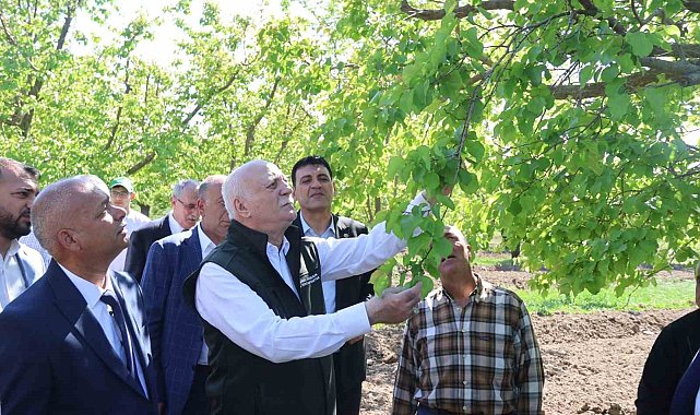 TZOB Genel Başkanı Bayraktar: "Iğdır'daki kayısı bahçelerimiz dondan zarar gördü"