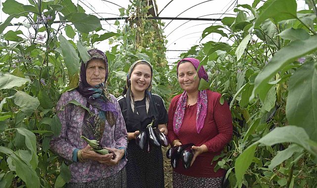 Üç kuşak kadın serada: Nineden toruna hem üretime hem aile ekonomisine katkı sağlıyorlar