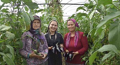Üç kuşak kadın serada: Nineden toruna hem üretime hem aile ekonomisine katkı sağlıyorlar
