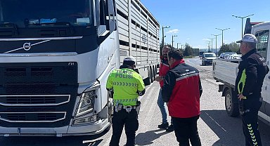 Uşak'ta hayvan sağlığı ve halk sağlığı için denetimler sürüyor