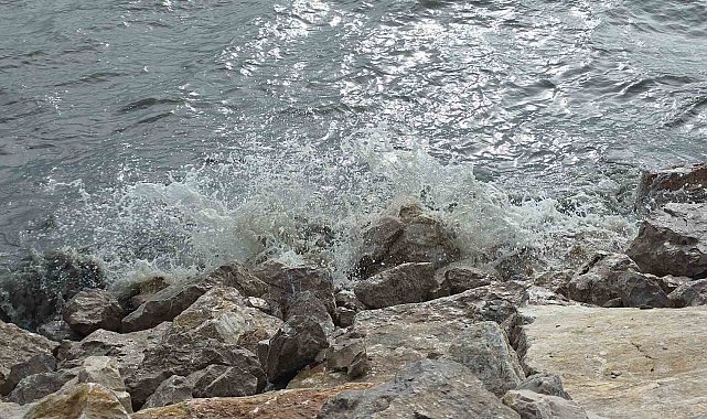 Van Gölü'nde şiddetli rüzgar dalgaları coşturdu