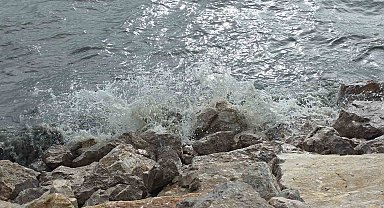 Van Gölü'nde şiddetli rüzgar dalgaları coşturdu