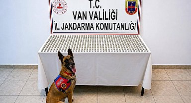 Van'da 8 İranlı'nın midesinde 3 kilo esrar ele geçirildi