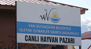 Van'da hayvan pazarında silahlı kavga: 1 ölü, 13 yaralı