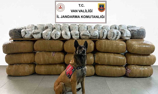 Van'da yarım tona yakın uyuşturucu ele geçirildi